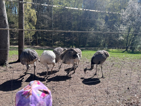 Se zvířaty jsme se mohli zblízka seznámit